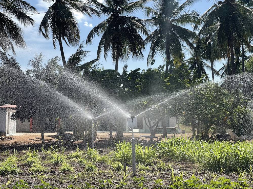Sprinkler Irrigation System