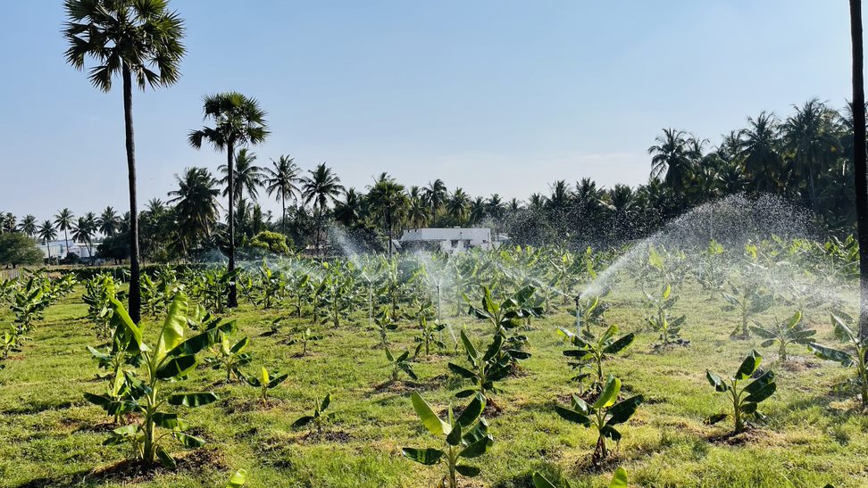 Sustainable farming with irrigation